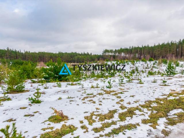 Nowa Kiszewa, 1 047 m2