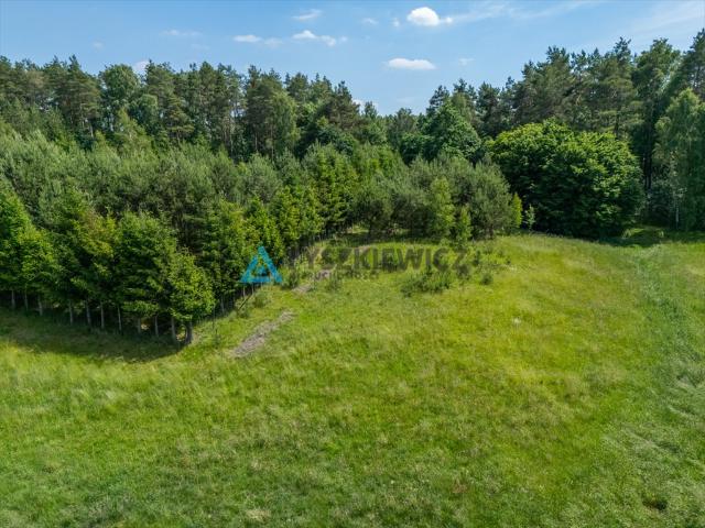 Nowa Wieś Przywidzka, Gołębia, 2 166 m2