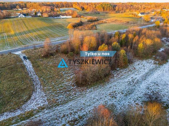 Nowa Wieś Przywidzka, 11 237 m2