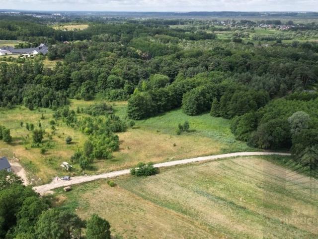 Nowe Brynki, 55 000 m2
