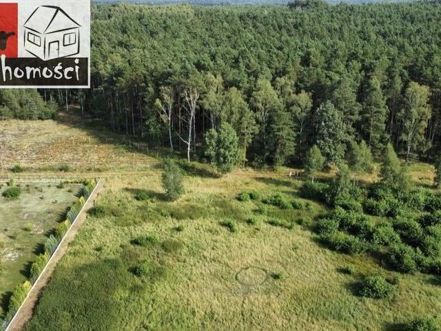 Działka z warunkami zabudowy w leśnej okolicy, 2995 m²
