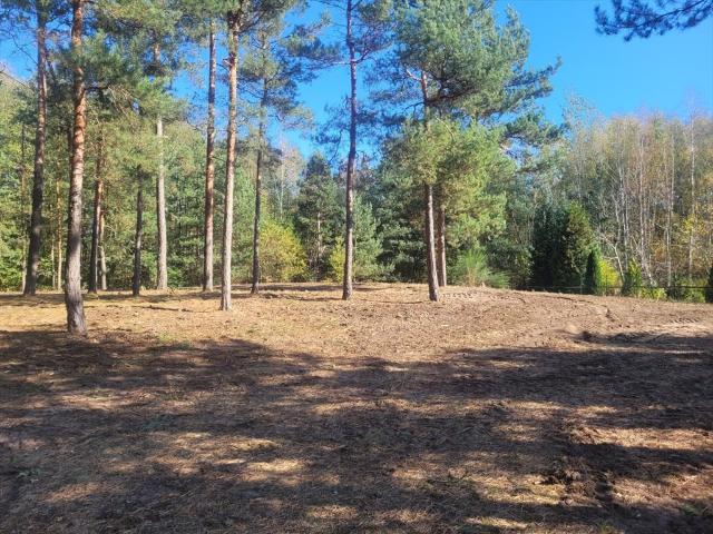 Nowe Grabie, Pod Klonami, 2 800 m2