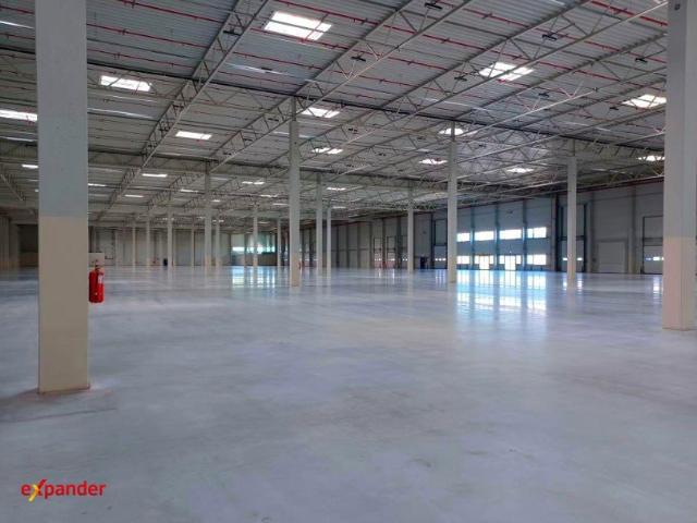 Nowoczesny magazyn 5000 m² z biurami i wysokim standardem
