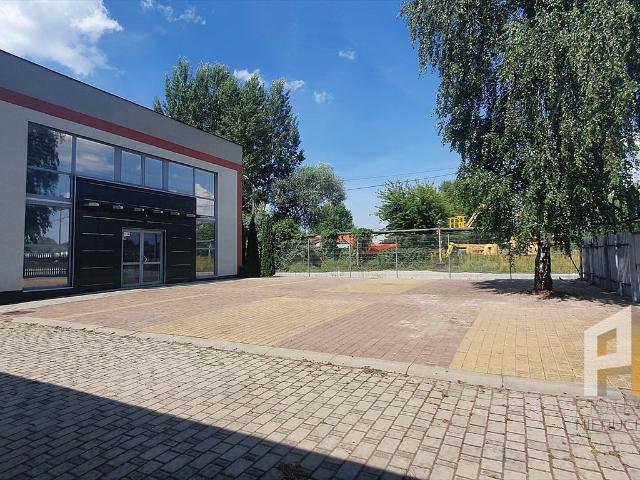 Polecam nowoczesny biurowiec 450 m² z parkingiem i klimatyzacją