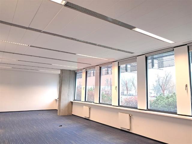 Nowoczesny biurowiec klasy A 496 m² z możliwością personalizacji