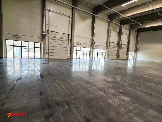 Nowoczesny lokal magazynowy 1595 m², dostępny od lutego