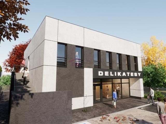 Nowoczesny lokal 301 m² w Piotrowicach, stan deweloperski