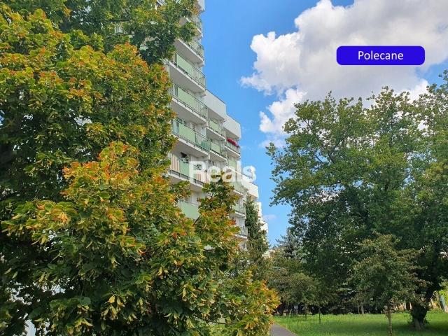 Nowoczesne 4 pokojowe mieszkanie 62 m² z balkonem polecam