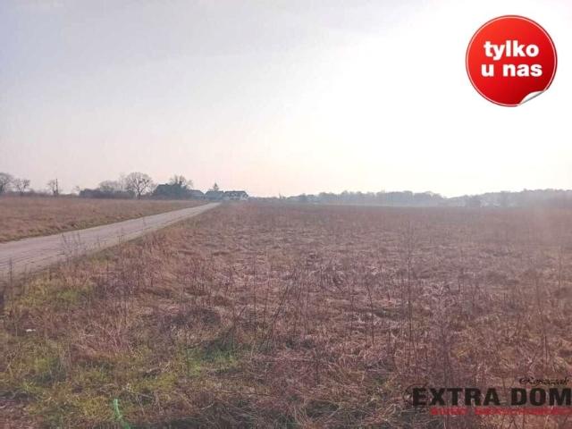 Nowogardzka 800 m², Goleniów
