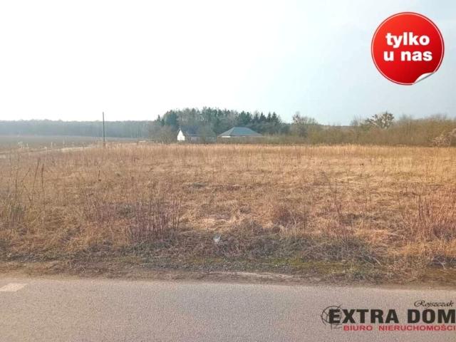 Nowogardzka 800 m², Goleniów