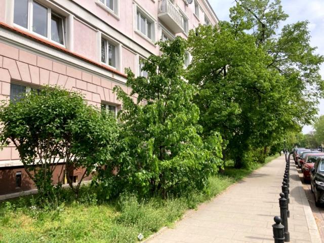 Nowolipki 37 m², Warszawa