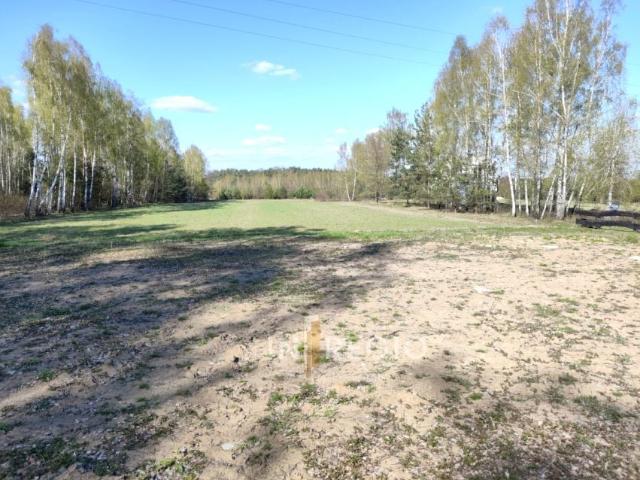 Nowowolska 880 m², Pabianice