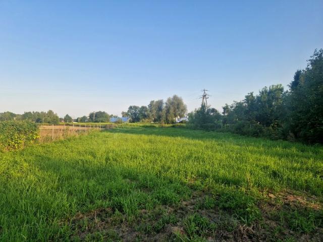 Nowowiejska 1 500 m², Zagacie