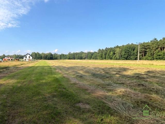 Nowowiejska 2 784 m², Tworóg Mały
