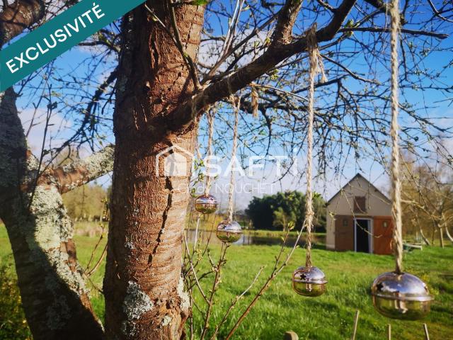 Noyen sur Sarthe Vente Terrain 72