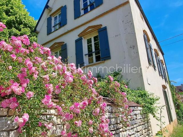 Noyers Vente Propriété/château 89