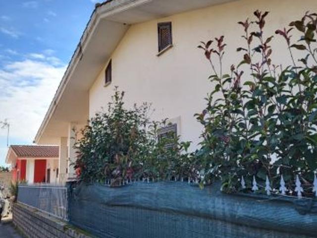 nuova florida villa