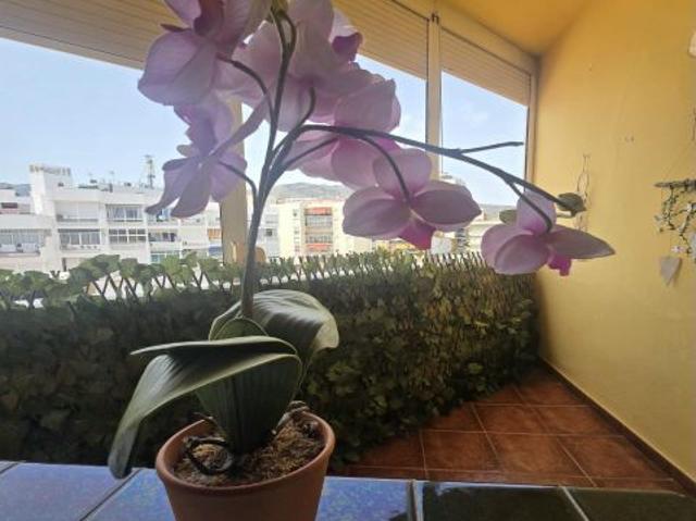 ¡NUEVA EXCLUSIVA!? Estudio céntrico con terraza y vistas despejadas ?
