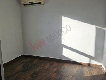 Nuevo León, Mezquite, Apodaca