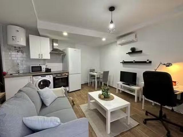 Acogedor Piso de 1 habitación en Calle San Clemente