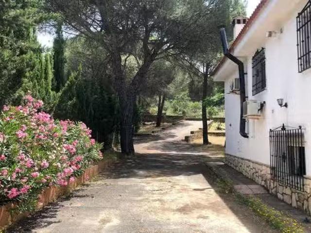 Nuevo Piso de 5 habitaciones en Av. las Palomas, 14, 14029 Cór.