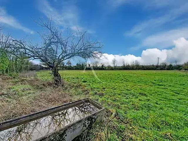 Nueil sur Layon 49560 Achat / Vente terrain