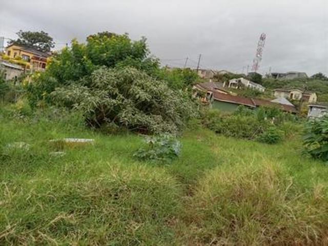 null in Ngwelezana