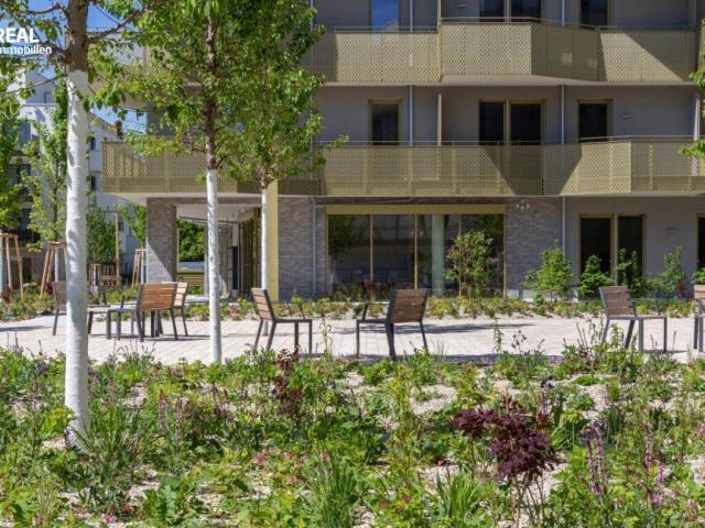 Nur € 270.000, im schönsten Eck von Floridsdorf provisionsfrei