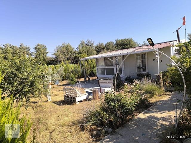 NURFEN'DEN ACİL! SATILIK MENDERESTE209M2 HİSSE T.EV OLAN TARLA