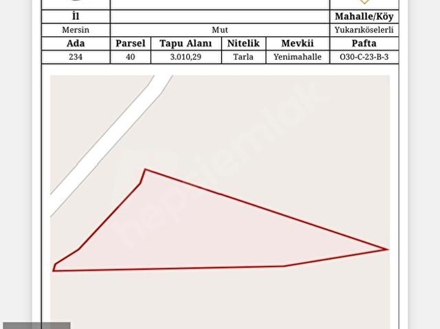 Nurka'dan Mut'da Satılık Zeytinlik