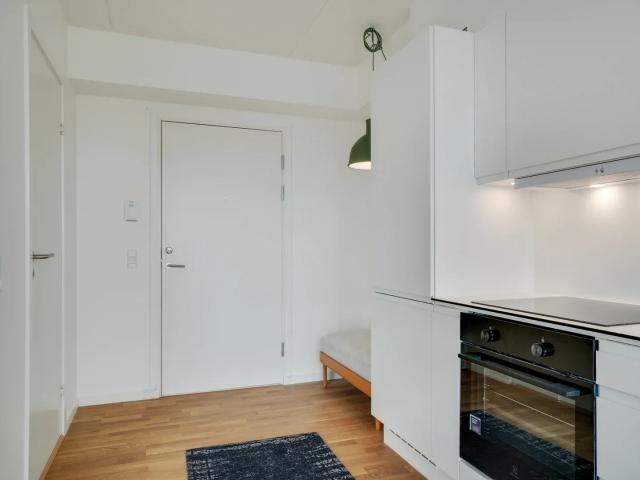 Ny 1 værelses lejlighed i Slagteribyen