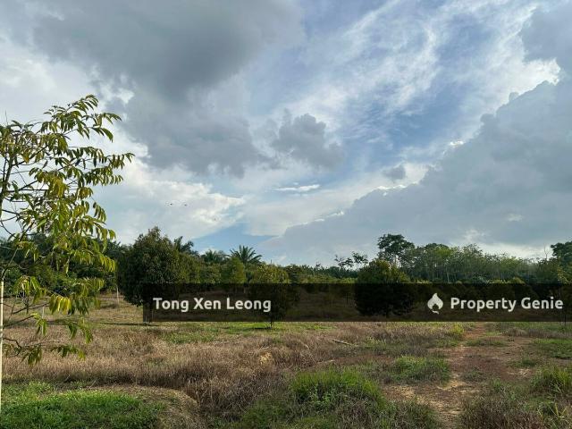 Nyalas Durian Land For Sale