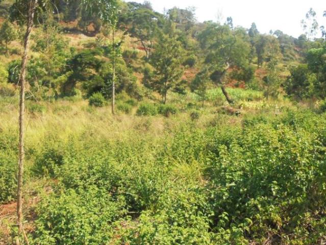 Nyeri 6.3 acre plot – nyeri