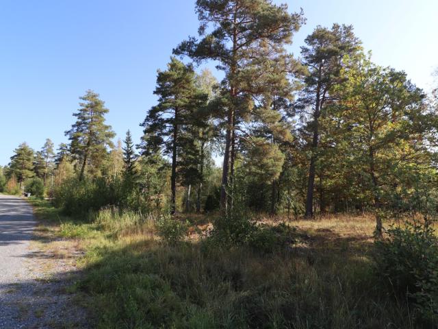 Nylandets väg 19
