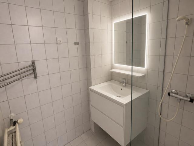 Nyrenoveret 4 værelses lejlighed i centrum af Aalborg