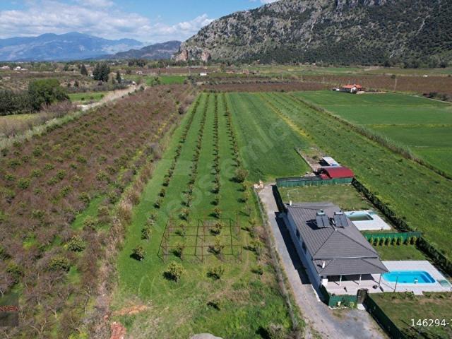 NYSA EMLAK'TAN DALYAN ARIKBAŞI MH 6.600 M2 ŞAHSİ TAPU TARLA