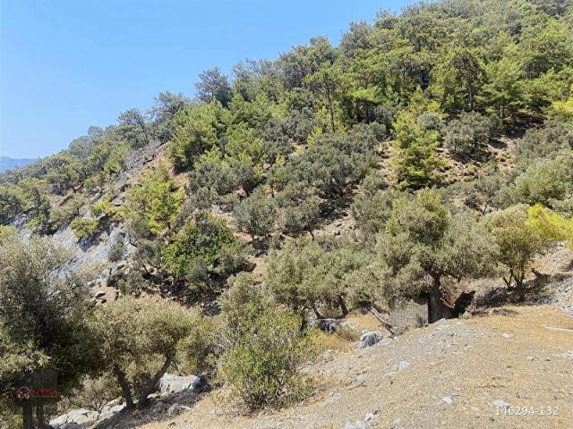 NYSA EMLAK'TAN KÖYCEĞİZ ÇANDIR MH DENİZE SIFIR 2.880 M2 2B ARAZİ