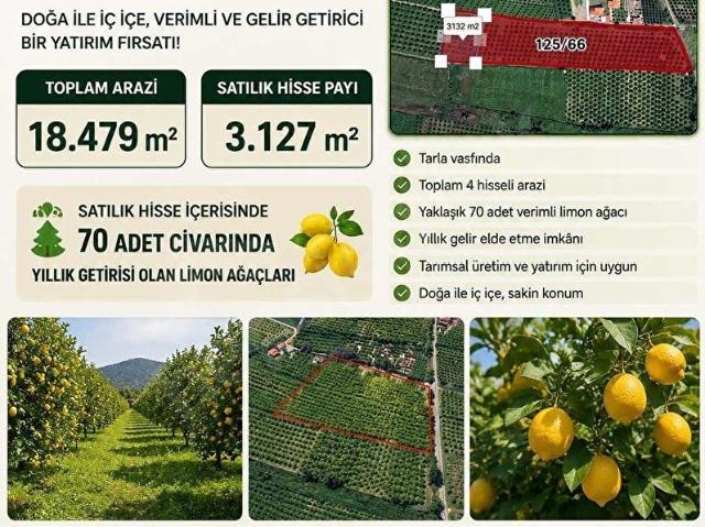 NYSA EMLAK'TAN SATILIK 3.127 M2 HİSSELİ TARLA