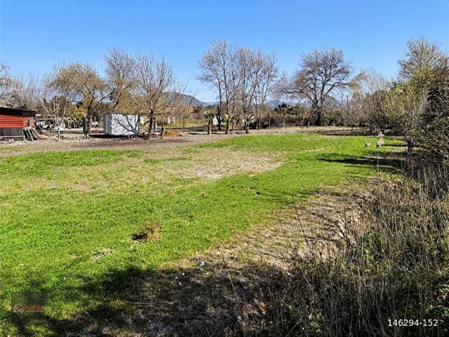 NYSA EMLAK'TAN SATILIK 2.063 M2 ŞAHSİ TAPU TARLA