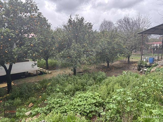 NYSA EMLAK'TAN SATILIK 370 M2 RIZAİ TAKSİMLİ HİSSE