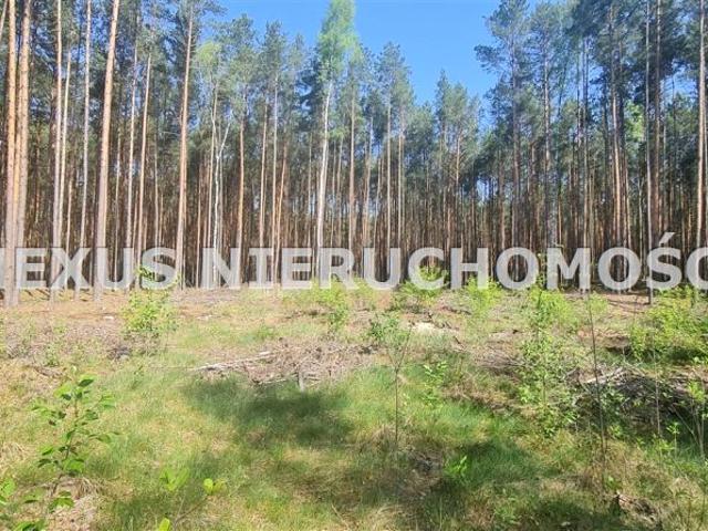 Żołnierska 2 500 m², Dąbrowa Górnicza