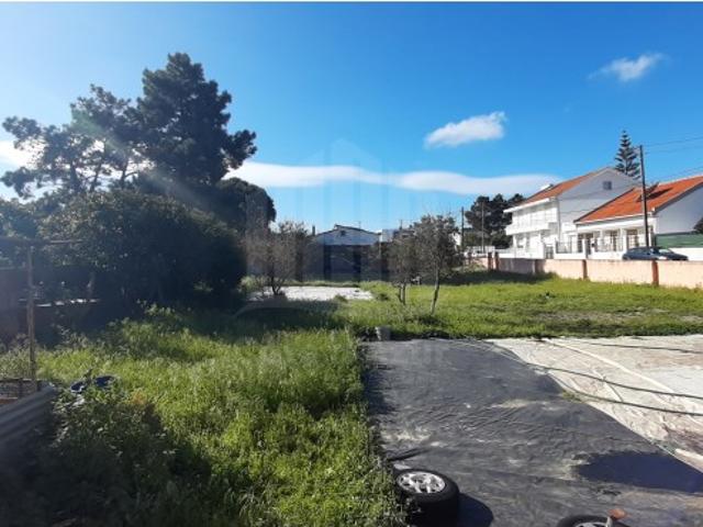 O Lugar Ideal para a Sua Futura Moradia no Pinhal do General