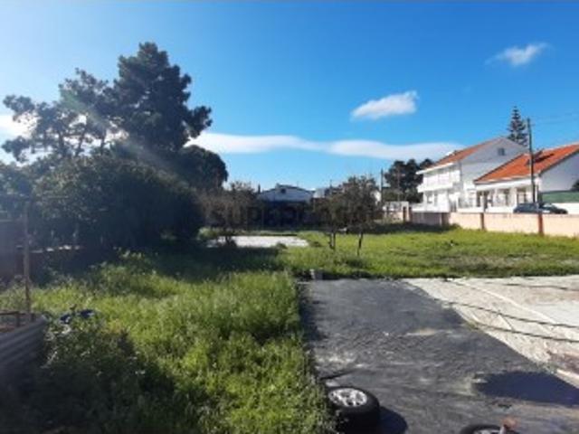 O Lugar Ideal para a Sua Futura Moradia no Pinhal do General