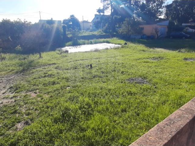 O Lugar Ideal para a Sua Futura Moradia no Pinhal do General