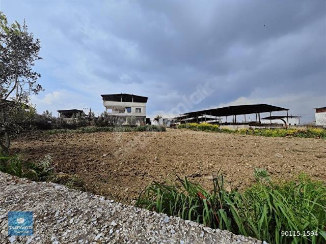 OĞLANANASI KÖY İÇERİSİNDE İKİ PARSEL VİLLALIK ARSA