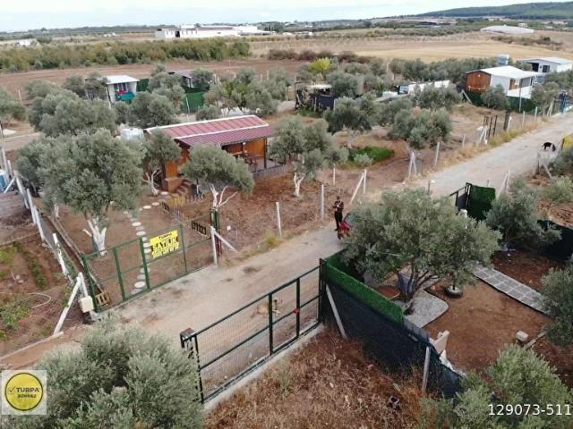 OĞLANANASI 200 M2 BAHÇE VE İÇİNDE EVİ OLAN SATILIK BAHÇE VE EV