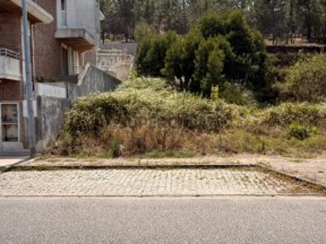 O LOTE QUE REÚNE TUDO O QUE PROCURA