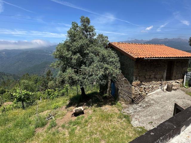 O Refúgio Perfeito no Topo do Gerês: Onde o Silêncio Encontra a Imensidão