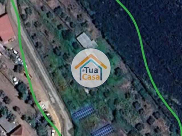 O Seu Paraíso Verde com Rendimento Extra Espera por si!