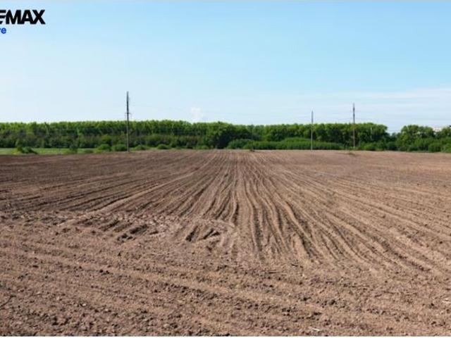 Ocasión finca de vega de 22 hectáreas de riego
